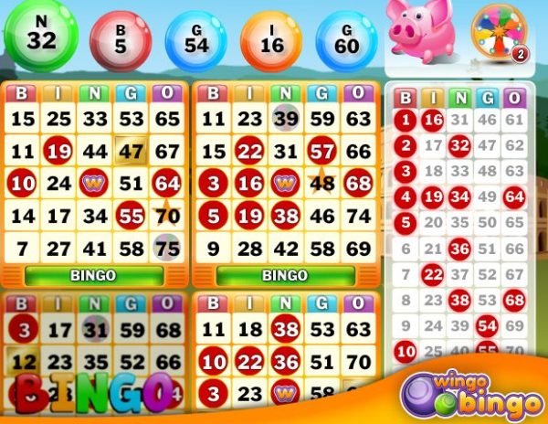 Bingo – noteikumi un padomi