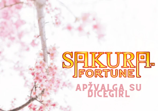 sakura fortune pārskats ar dicegirl