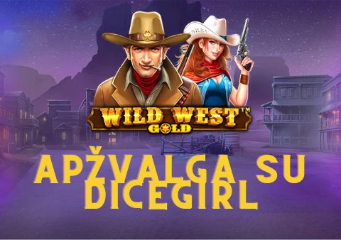 wild west gold spēļu automātu spēļu automātu apskats
