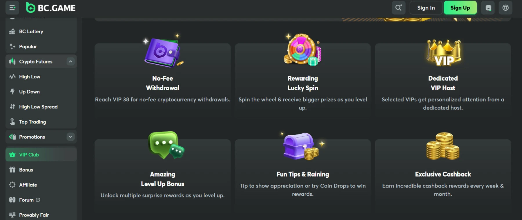 VIP programma vip-programma