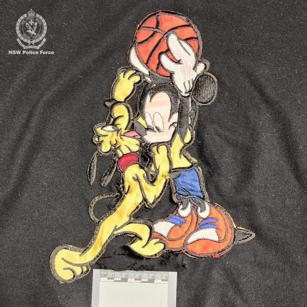 Kamera tika paslēpta Miki Maus logotipā slepta-kamera-miki-maus-logotipa